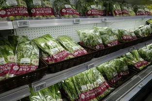 线上为核，线下为翼 生鲜超市的数字化生存之道